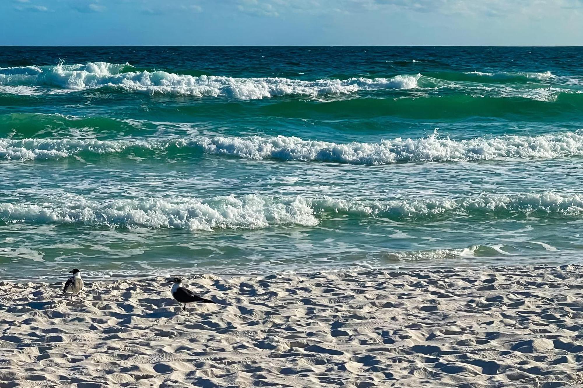 Sand Dollar E200 Pensacola Beach Luaran gambar